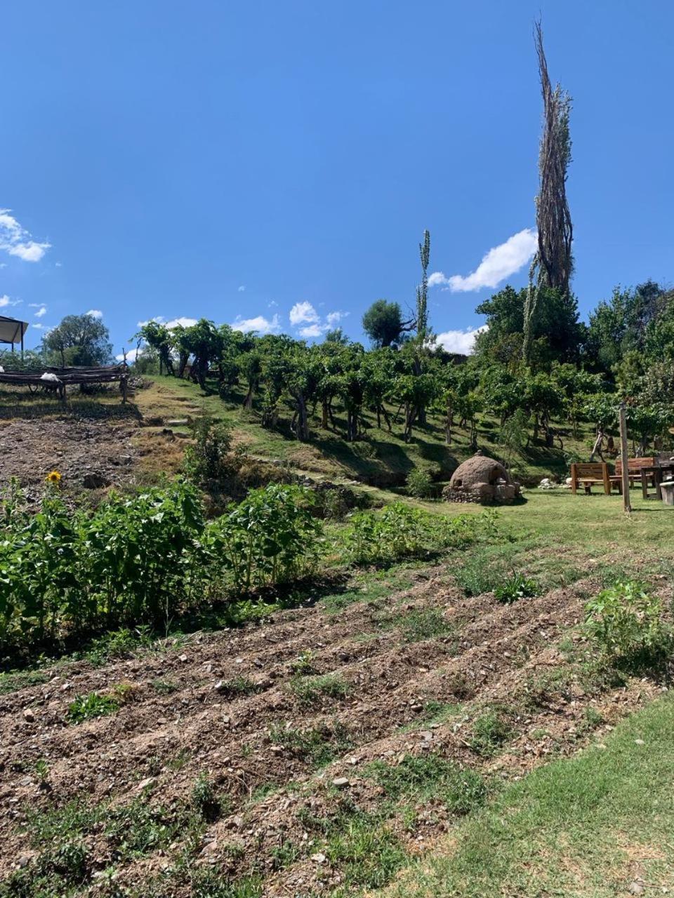 Cabana Cortaderas Mi Campito Cachi Salta Esterno foto